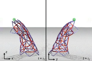 Canlı kaslarla çalışan ‘Biyohibrit robotlar’ egzersizle daha da güçlenecek