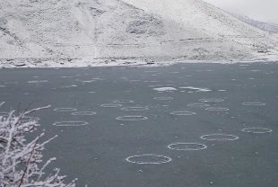 Çat Barajı'ndaki 'Yüzen adalar' buz tuttu