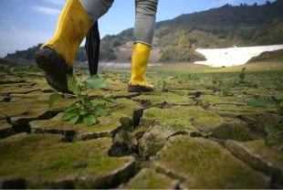 Çevreyi korumanın maliyeti belli oldu! 441 milyar lira harcandı