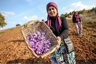 Çiftçiler kuraklığa karşı yeni önlem aldılar!
