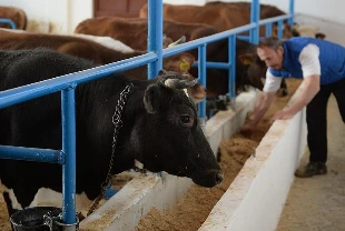 Çiftçilere 4,5 milyar liralık destekleme ödemesi yapılacak
