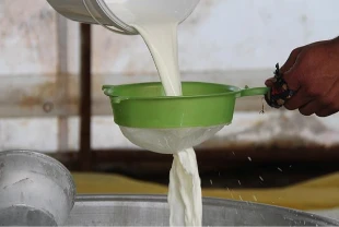 Çiğ inek sütü satış fiyatı belirlendi! 1 Ağustos'tan itibaren geçerli