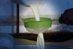 Çiğ süt sınıflandırmasında yeni dönem! C Sınıfı yağ oranı güncellendi