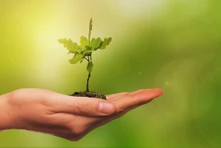 COP30’da yeşil sanayileşme öne çıktı