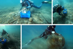Dalışseverlerin gözdesi Kaş'ta su altı temizliği yapıldı