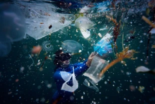 Deniz kirliliği raporu: 28 ilde 325 bin ton atık toplandı