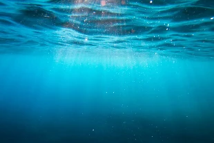Deniz suyundan biyoplastik üretildi