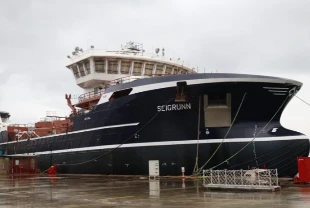 Denizcilik ihracatında güçlü başlangıç: 166,9 milyon dolar