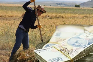 Destek ödemesi bugün yapılacak: Çiftçilere 476 milyon 738 bin lira