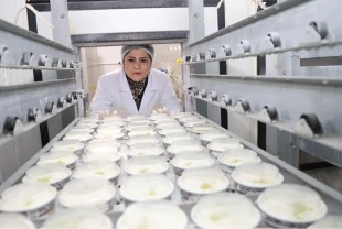 Devlet desteğini aldı! Yılda 700 ton dondurma üretiyor