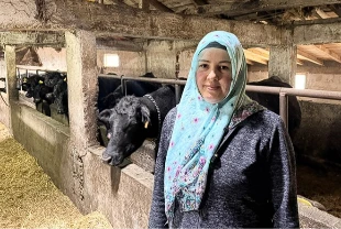 Devlet desteğiyle büyüdü: Kadın çiftçi sürüsünü ikiye katladı