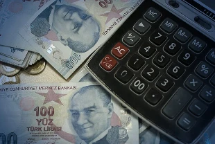 Dezenflasyon sürecinde maliye politikasının önemi: Uzmanlar değerlendirdi