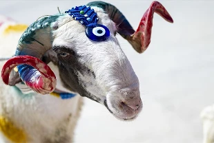 DİYANET KURBAN BAYRAMI TAKVİMİ: 2026 Kurban Bayramı hangi tarihlere denk geliyor?