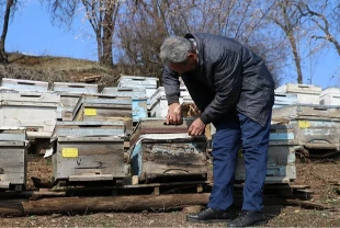 Diyarbakır'da depremzede devlet desteği aldı! Hayvan sayısı 3 kat arttı