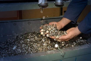 DMM'den 1 ve 5 kuruş açıklaması! Gerçek ortaya çıktı