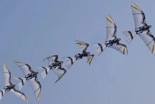 Doğadan ilham alan ‘RoboFalcon’ kuş gibi havalandı