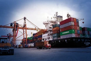 Doğu Karadeniz'den 11 ayda yapılan ihracat belli oldu! 140 ülkeye ürün gitti