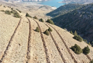 Doğu'da 9 milyon tohum ve fidan toprakla buluşturuldu