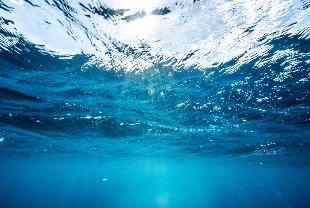 Dünya Meteoroloji Örgütü: Dünyanın su kaynakları giderek artan bir baskı altında