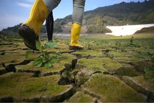 Dünyada çevre alanında 2025 böyle geçti