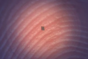 Dünyanın en küçük robotu: Kendi beyni, hafızası ve sensörü var