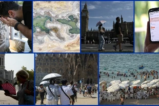 Dünyayı bu yıl da aşırı sıcaklar saracak