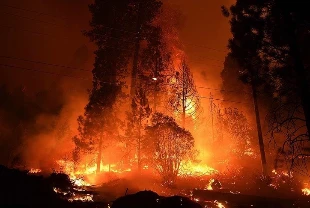 El Nino orman yangını riskini artırıyor