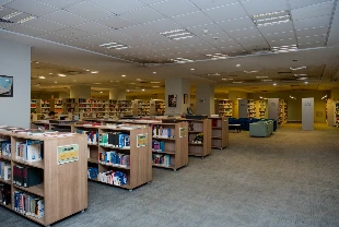 Elektronik veri tabanlarına uzaktan daha hızlı erişim