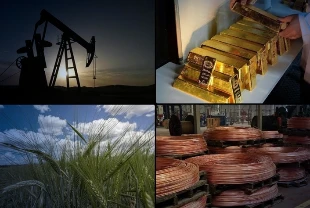 Emtia piyasasında rekor serisi: Ocak ayında tarihi zirveler tazelendi