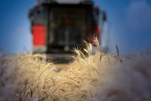 Enerji maliyetleri gıdayı vurdu: Savaşın gölgesinde küresel gıda fiyatları 6 ayın zirvesine çıktı