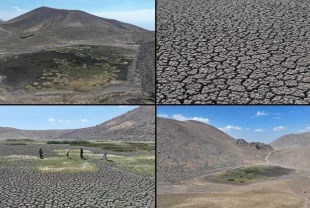 Erciyes'in eteklerinde yılkı atları, kuşlar ve koyunlara hayat veren Sarıgöl kurudu