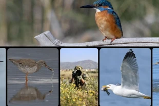 Fethiye'de Kuş Cenneti'nin sakinleri, fotoğrafçılara renkli kareler sunuyor