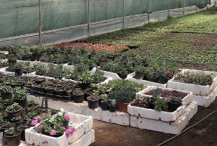 Fide sektöründe rekabet soruşturması: 18 teşebbüs ve birlik mercek altında