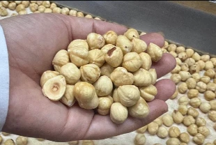 Fındık ihracatından iki ayda 351 milyon dolar gelir