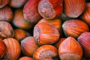 FİSKOBİRLİK Olağan Mali Genel Kurulu Giresun'da yapıldı