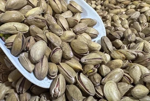 Fıstık ihracatı geriledi: İlk çeyrekte 32,8 milyon dolar gelir