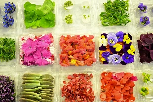 Gastronomi ‘çiçek’ açtı
