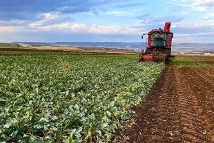 Gençlere tarımda 'Dönüş' teşviki: Bedelsiz arazi ve ucuz kredi yolda