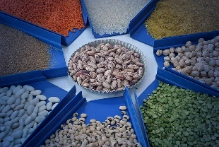 Gıda ve içecek ihracatı 27,79 milyar dolara çıktı: Yüzde 0,35 artışla rekor