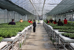Gıda ve tarım komitesi toplandı: Gündem fiyat ve ürün arzı