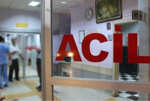 Gıda zehirlenmelerine karşı peş peşe uyarılar: Zehirli bitkiler ve toplu yemekler risk oluşturuyor