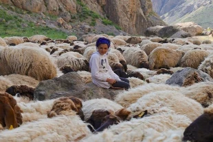 Göçer ailelerin yaylalardaki yükünü çocuklar da omuzluyor