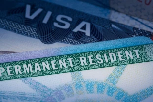 GREEN CARD BAŞVURU EKRANI| Başvuru kılavuzu: Nasıl yapılır, ücretsiz mi, hangi belgeler gerekli?
