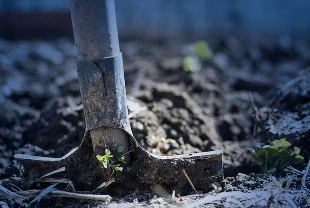 Gübre için kritik karar:  Amonyum nitrat ve fosfatta gümrük vergisi sıfırlandı