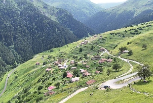 Gümüşhane'deki "Taşköprü Yaylası" doğaseverlerin uğrak noktası oldu