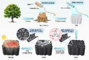 Güneş enerjisi depolamada ‘ahşap’ çözümü: Yüzde 91 verimlilik