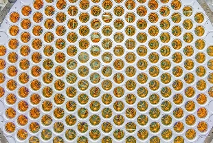 Güneşten gelen nötrino sinyalleri karanlık maddeyi işaret ediyor