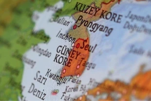 Güney Kore'den nükleer açıklaması: 'Bölgeden gelenlerde mutasyon görüldü'