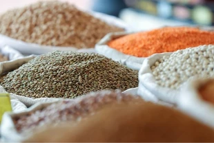 Güneydoğu Anadolu'dan 1 milyar dolara yakın hububat ihraç edildi! Irak ihracatta zirvede