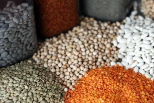 Güneydoğu'dan 5 ayda 1,5 milyar dolarlık hububat ihracatı gerçekleştirildi